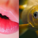 Illustration for article titled Your Jaw Is Basically a Fish Gill (Plus Millions of Years of Evolution)